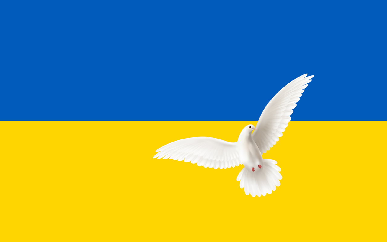 bild Ukraine